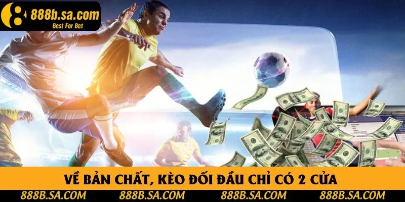 Về bản chất, kèo đối đầu chỉ có 2 cửa  Về bản chất, kèo đối đầu chỉ có 2 cửa