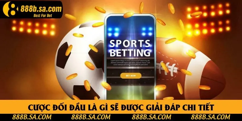 Cược đối đầu là gì sẽ được giải đáp chi tiết Cược đối đầu là gì sẽ được giải đáp chi tiết