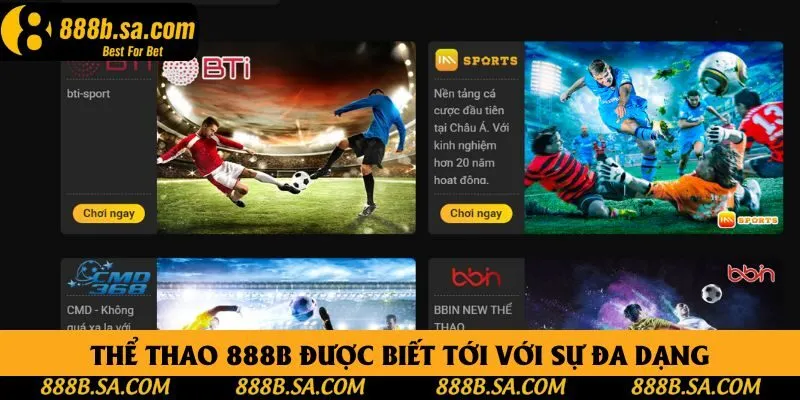 Thể thao 888B được biết tới với sự đa dạng Thể thao 888B được biết tới với sự đa dạng